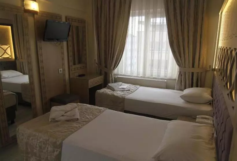 Fotos del hotel Grand Liza:  21