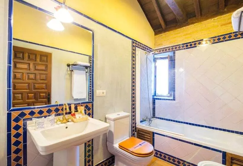 Fotos del hotel Palacio De Mariana Pineda:  17