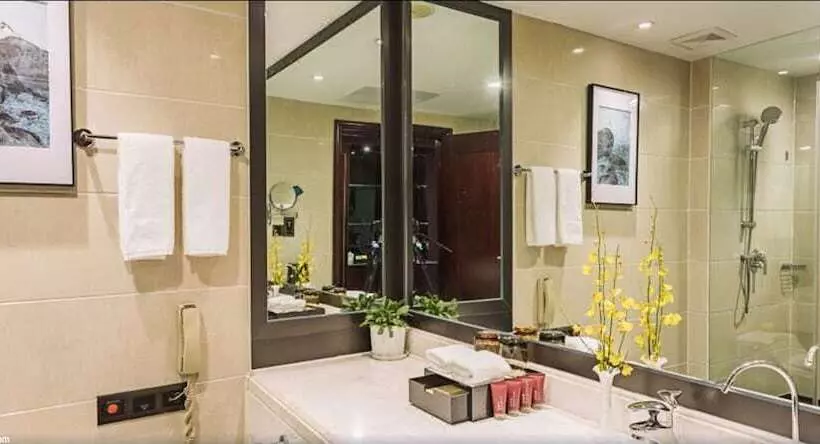 Fotos del hotel Vaya International:  11