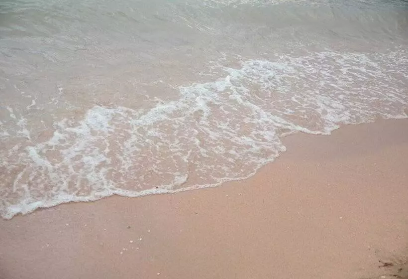 Fotos del hotel Manita Boutique:  4