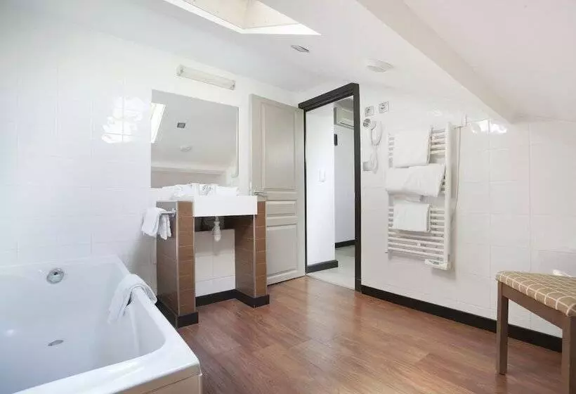 Fotos del hotel Odalys City Nice Le Palais Rossini:  11