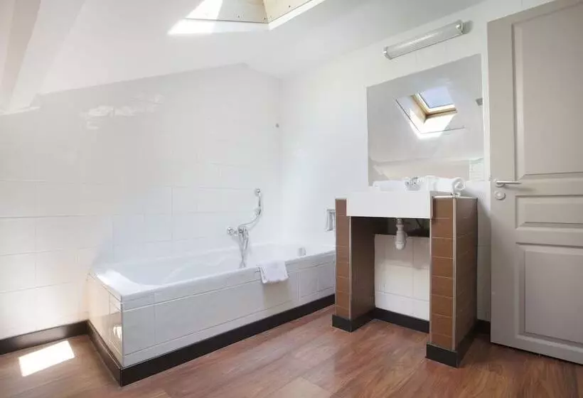 Fotos del hotel Odalys City Nice Le Palais Rossini:  14