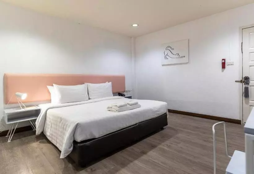 Fotos del hotel Parasol Inn Chiang Mai Old City   Sha Plus:  20