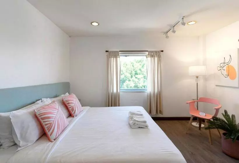 Fotos del hotel Parasol Inn Chiang Mai Old City   Sha Plus:  25