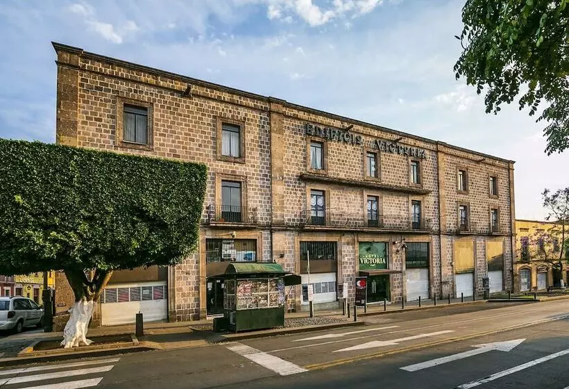 Victoria Morelia by DOT Tradition