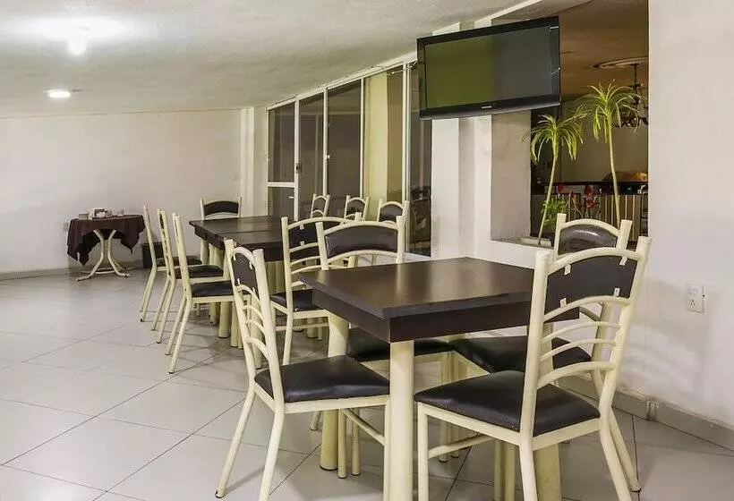 Fotos del hotel Victoria Morelia by DOT Tradition:  3