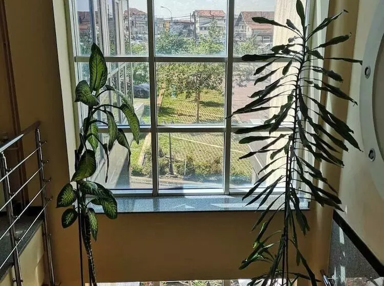 Fotos del hotel Elegance:  8