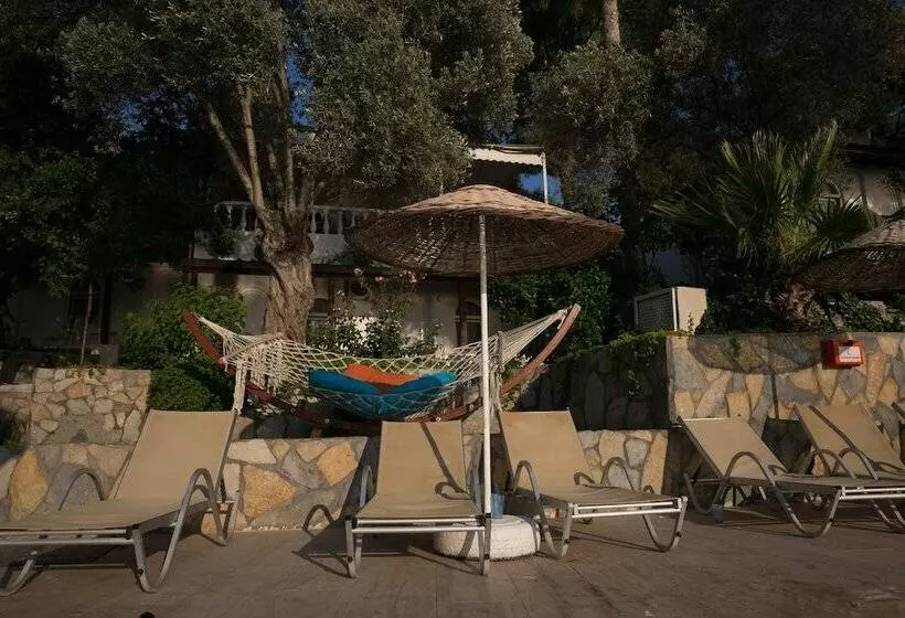 Fotos del hotel Greenport Bodrum   All Inclusive:  14