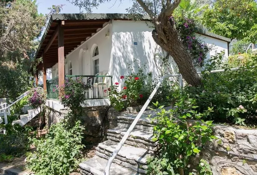 Fotos del hotel Greenport Bodrum   All Inclusive:  15