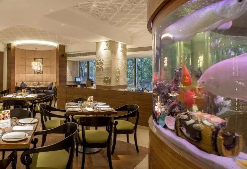 Fotos del hotel The International By Tunga:  10