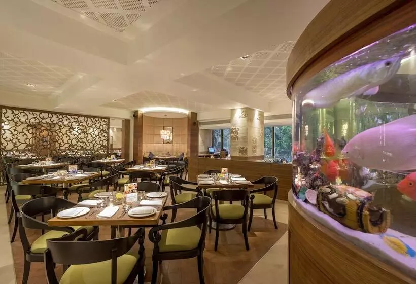 Fotos del hotel The International By Tunga:  22