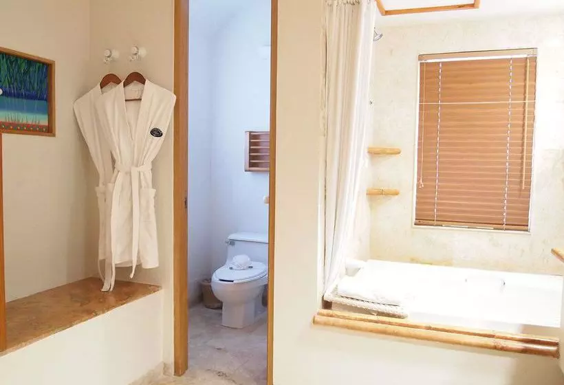 Fotos del hotel Worldmark by Wyndham Isla Mujeres:  2