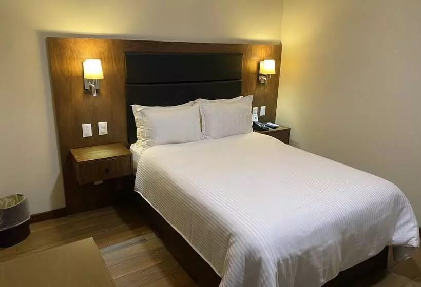 Fotos del hotel Wyndham Garden Mexico City  Polanco:  10