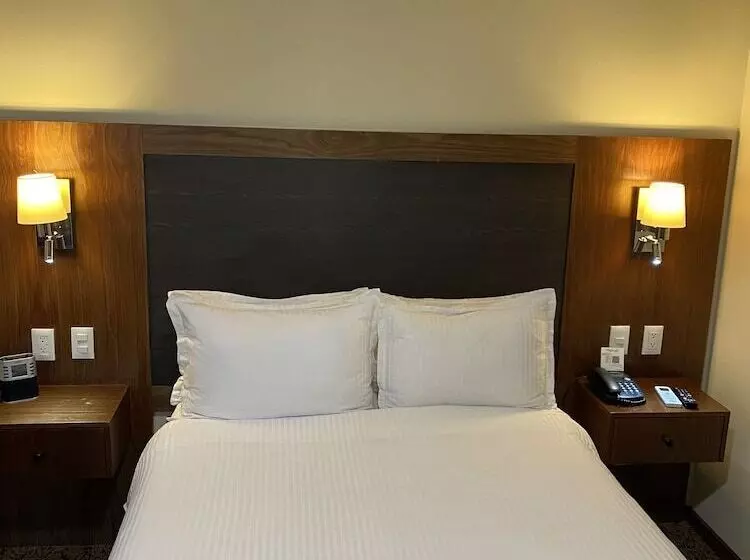 Fotos del hotel Wyndham Garden Mexico City  Polanco:  9