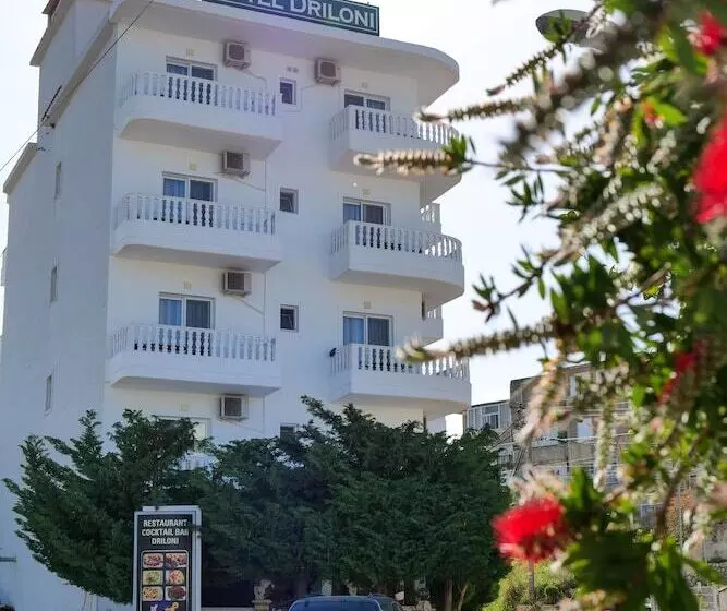 Fotos del hotel Driloni:  13