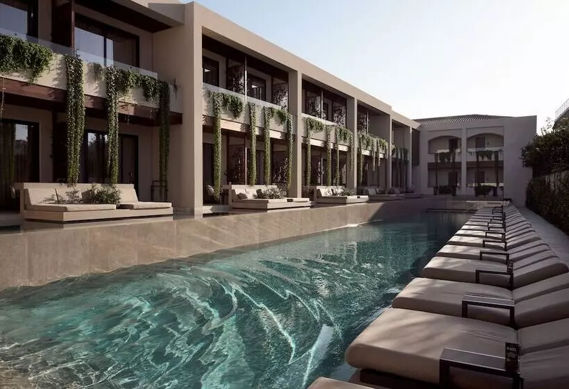 Fotos del hotel Contessina:  12