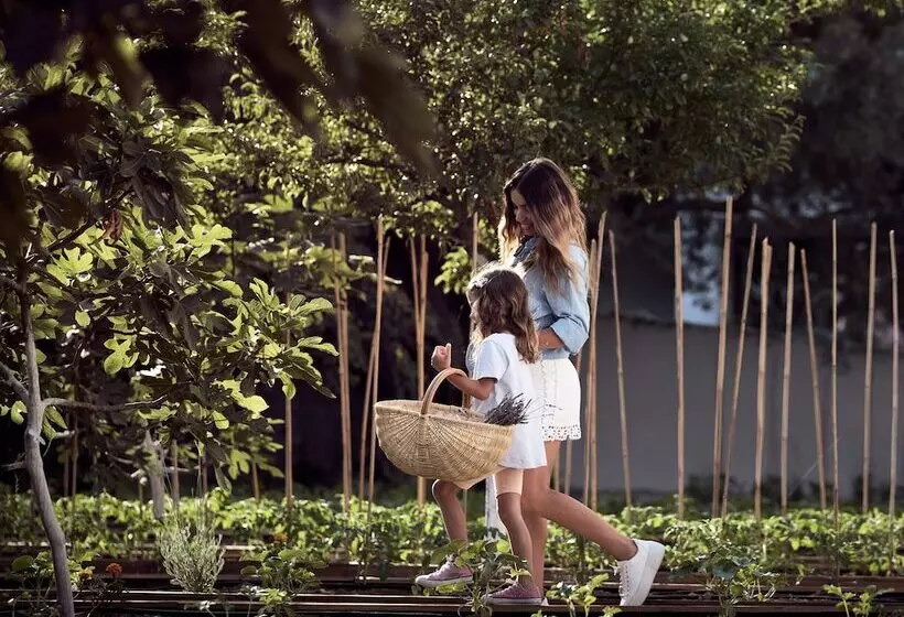 Fotos del hotel Contessina:  10