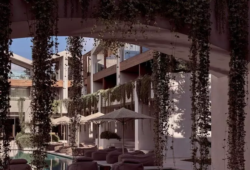 Fotos del hotel Contessina:  14