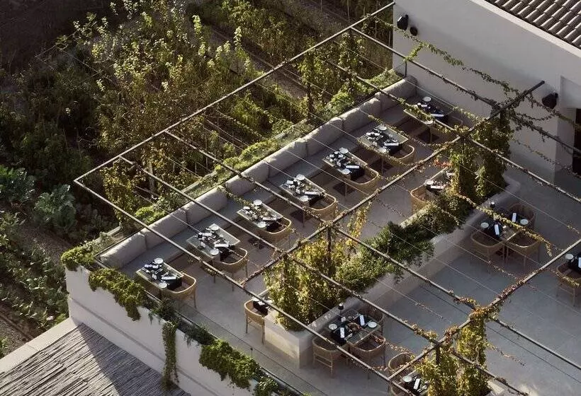 Fotos del hotel Contessina:  9