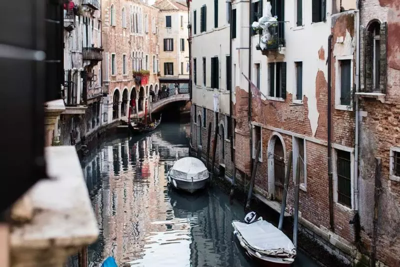 Fotos del hotel Palazzo Rosa:  4