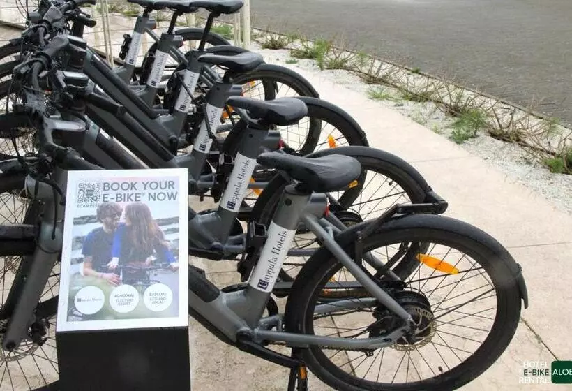 Fotos del hotel Pisa Tower Plaza:  9