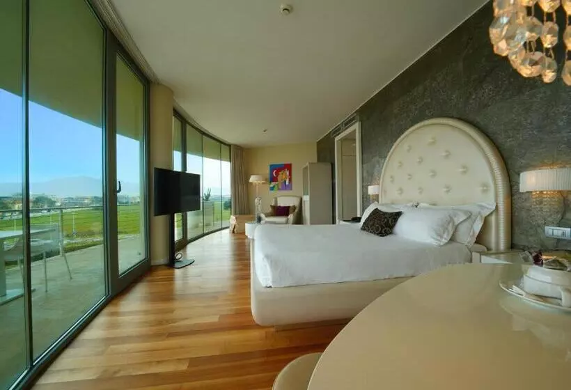 Fotos del hotel Pisa Tower Plaza:  23