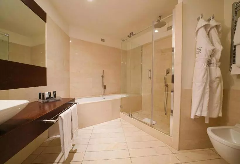 Fotos del hotel Pisa Tower Plaza:  17