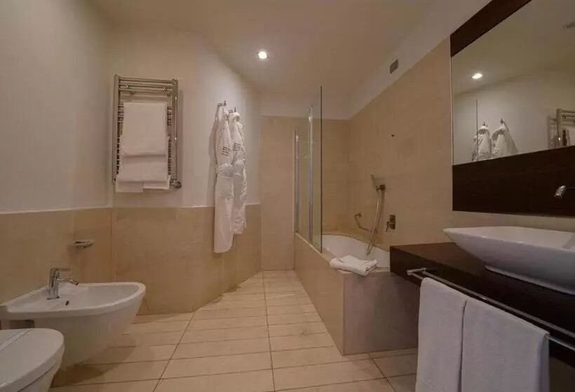 Fotos del hotel Pisa Tower Plaza:  8