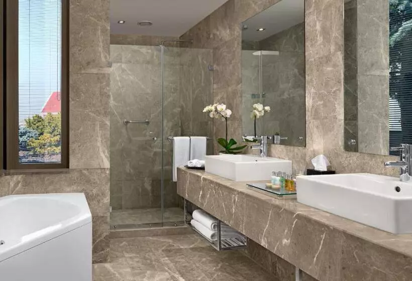 Fotos del hotel Divan Ankara:  8