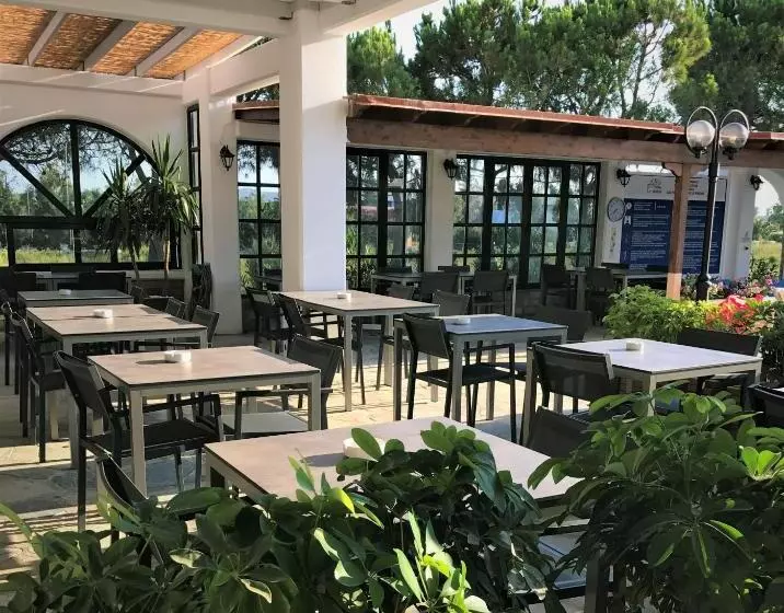 Fotos del hotel Palladium:  12