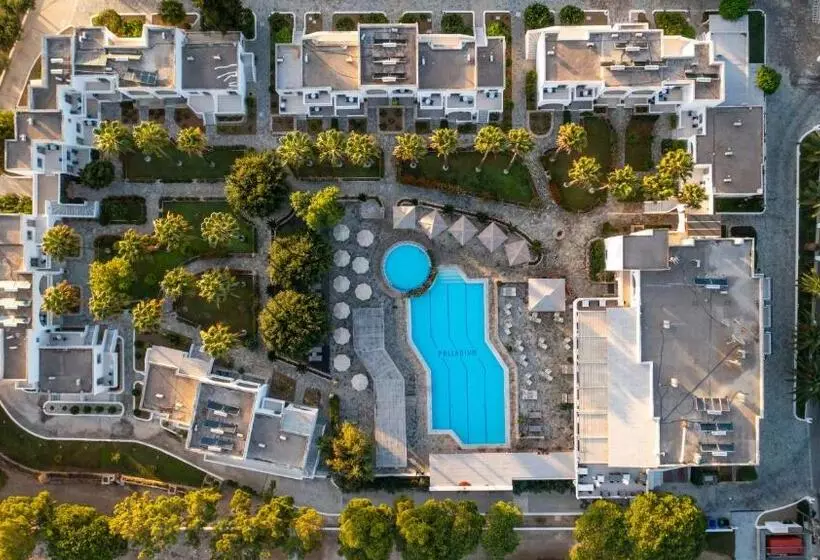 Fotos del hotel Palladium:  14