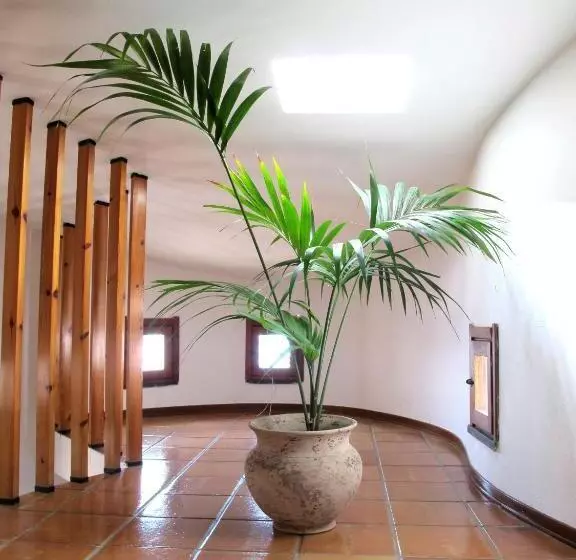 Fotos del hotel Hotel Pop:  2