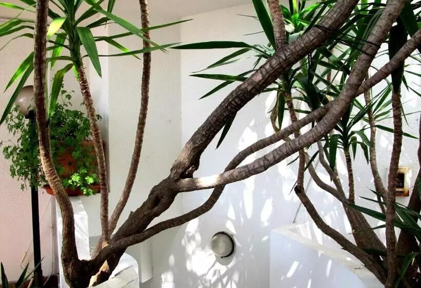 Fotos del hotel Hotel Pop:  14