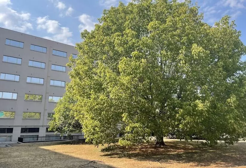 Fotos del hotel Residence Hotel Torino Uno:  23