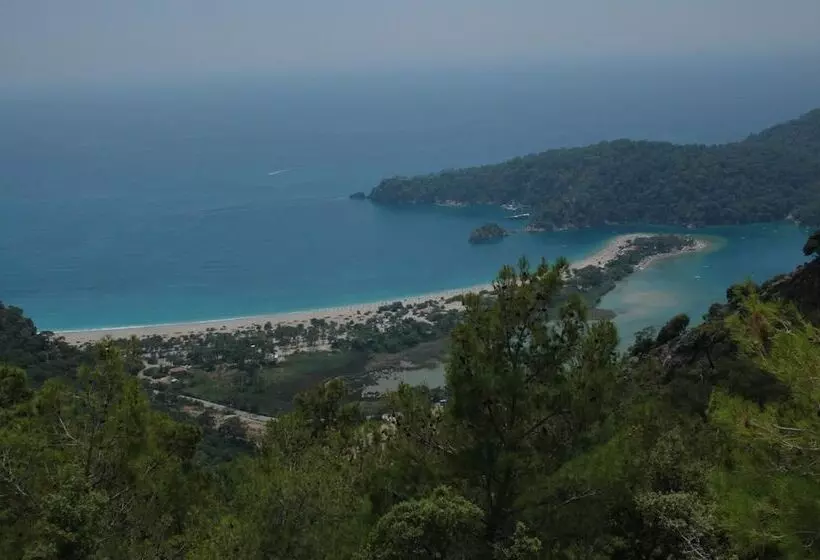 Fotos del hotel Tolay Hotel:  7