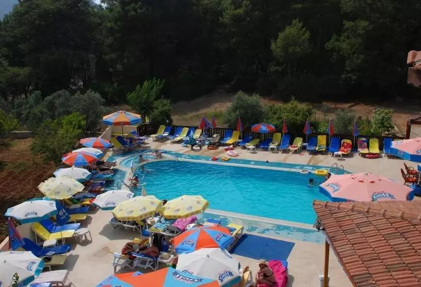 Fotos del hotel Tolay Hotel:  17