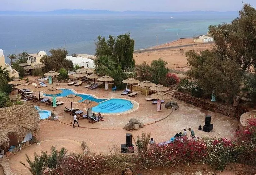 Fotos del hotel The Bedouin Moon:  12