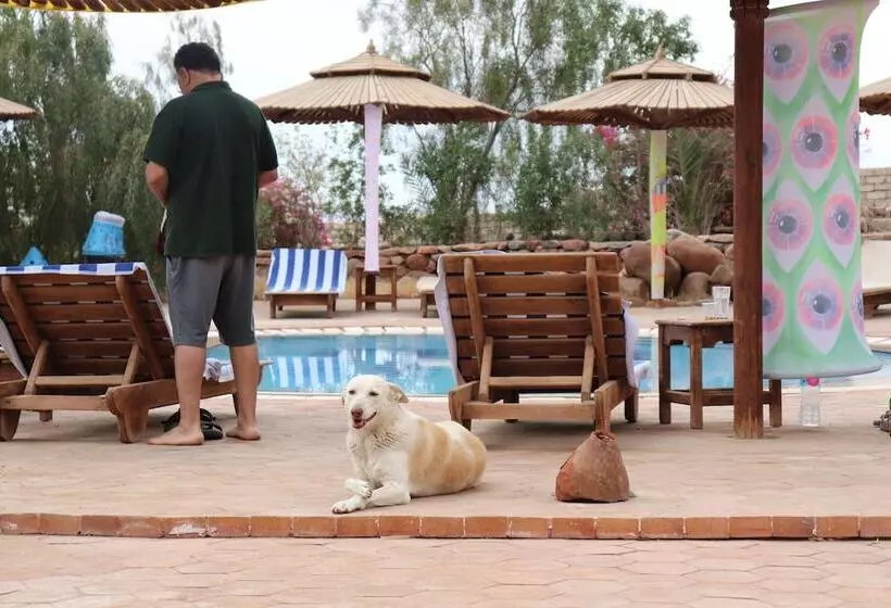 Fotos del hotel The Bedouin Moon:  3