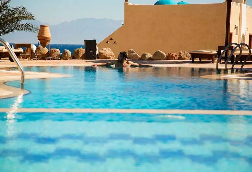 Fotos del hotel The Bedouin Moon:  9