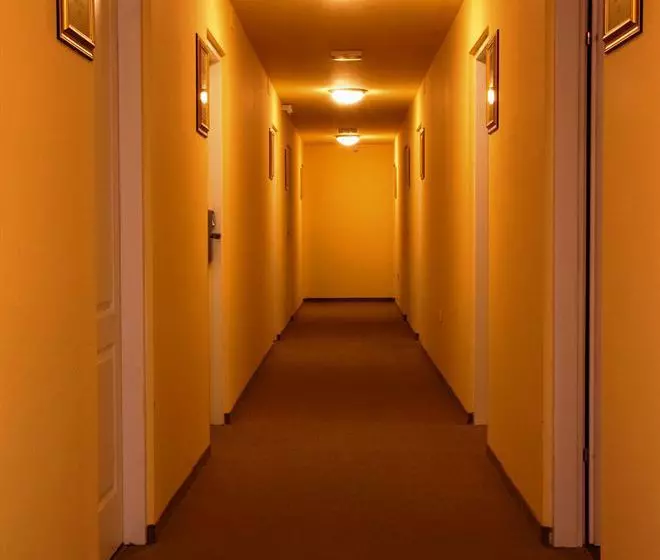 Fotos del hotel Hotel Lisinski:  12