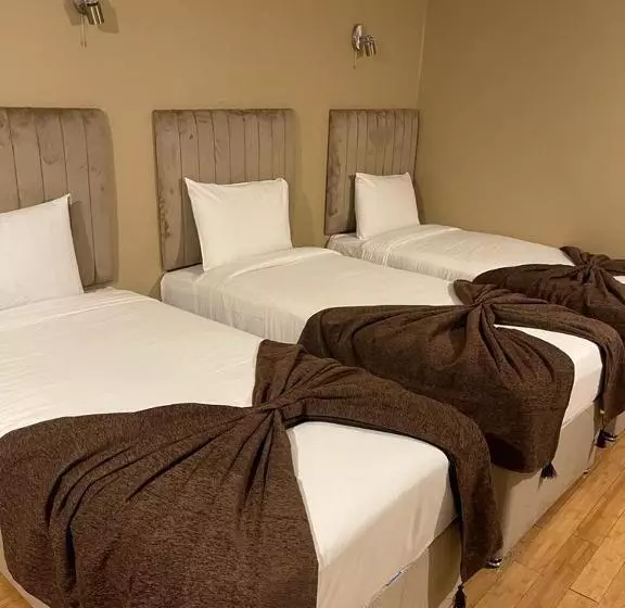 Fotos del hotel London Hotel Paddington:  24