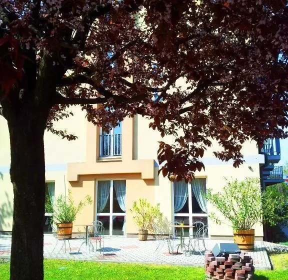 Fotos del hotel Luna:  6