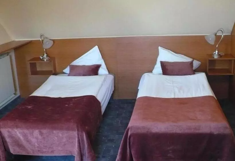 Fotos del hotel Luna:  21