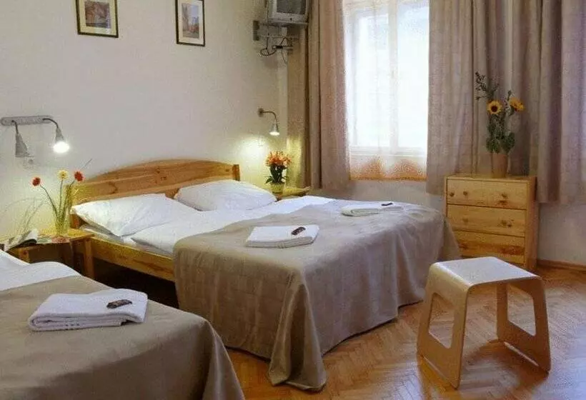 Fotos del hotel Pension Prague City:  25