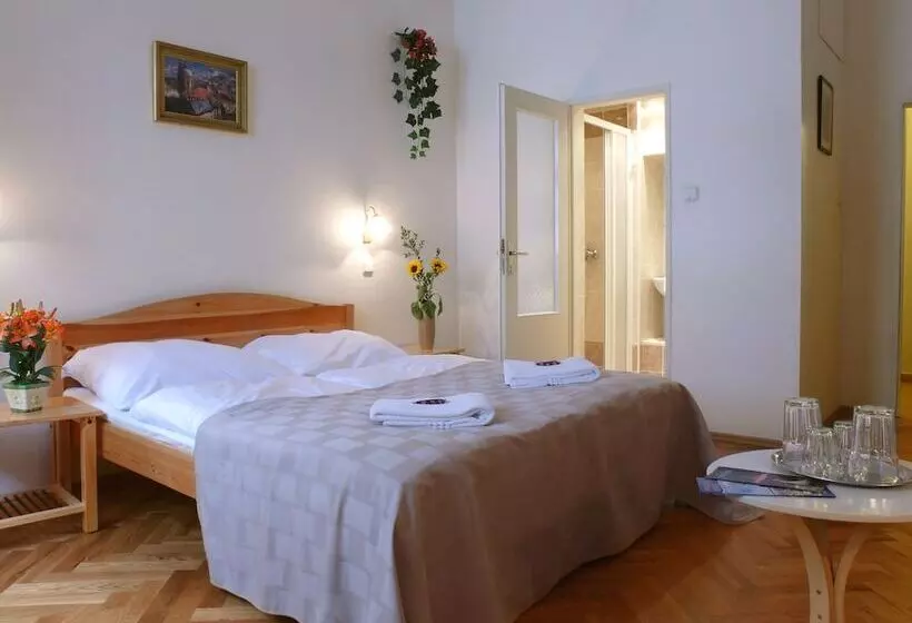 Fotos del hotel Pension Prague City:  14