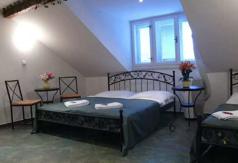 Fotos del hotel Pension Prague City:  13