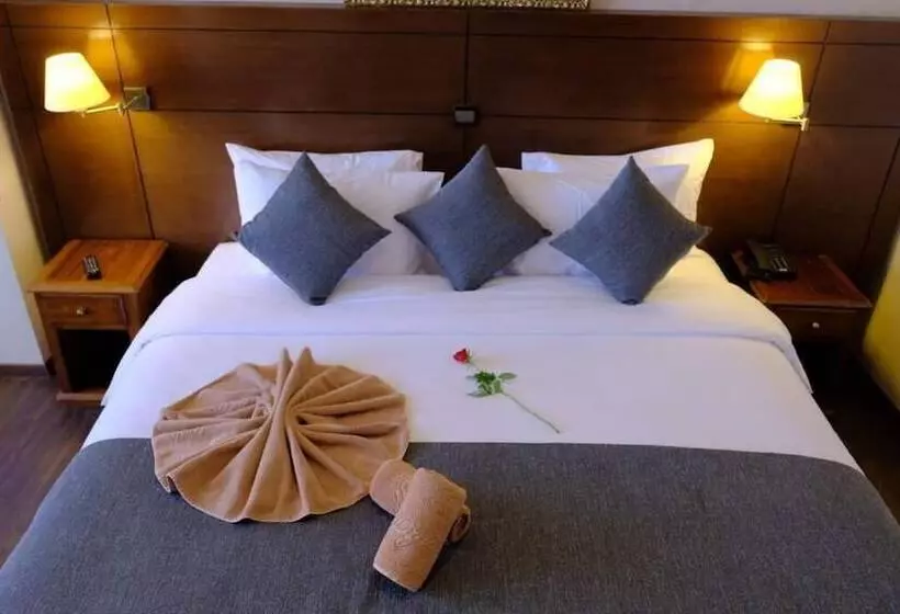 Fotos del hotel Washington:  21