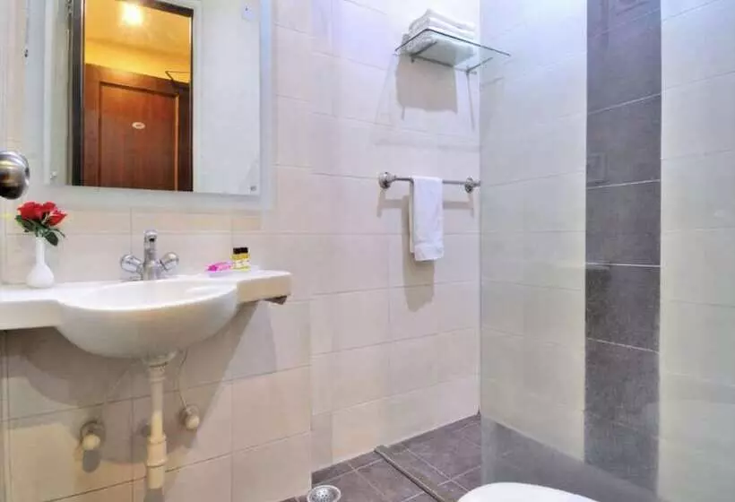 Fotos del hotel Aster Inn:  14