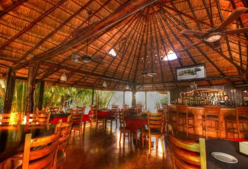 Fotos del hotel Aventura Mexicana:  4