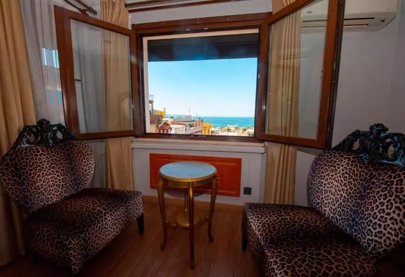 Fotos del hotel Daphne:  6